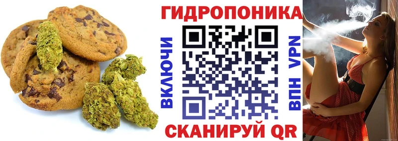 Canna-Cookies марихуана  Купить  Иваново 